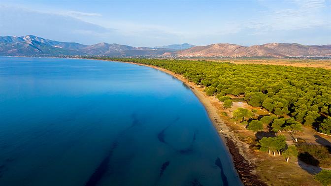 Ο Σχινιάς είναι η μεγαλύτερη (ίσως και ομορφότερη) παραλία της Αττικής