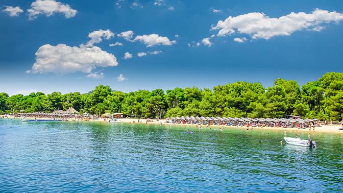 Παραλίες με φυσική σκιά: 5 νησιά για δροσερές βουτιές χωρίς ομπρέλα