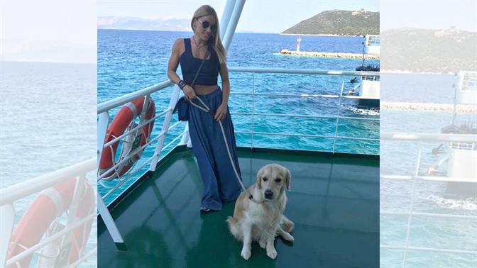 Οδηγός ταξί αρνήθηκε να μεταφέρει τον σκύλο οδηγό της Καρολίνας Πελενδρίτου