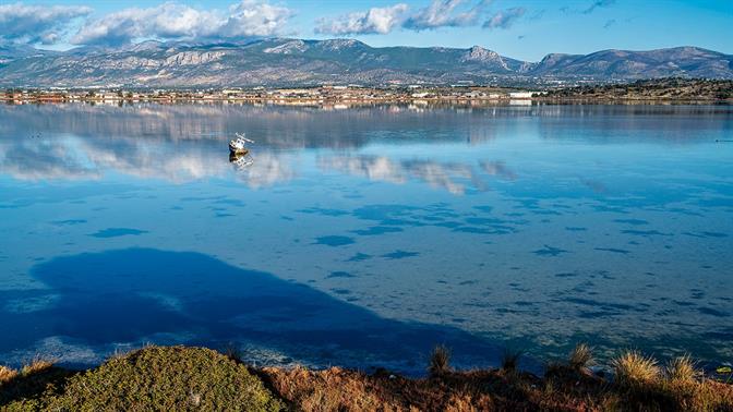 Η 16η Μεγάρων Γη είναι το φεστιβάλ που θα μας φέρει όλους στα Μέγαρα