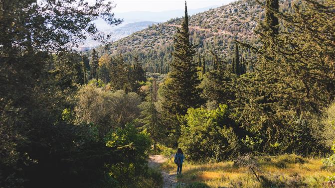 Πέντε μοναδικές πεζοπορικές διαδρομές κοντά στην Αθήνα για φυσιολάτρες