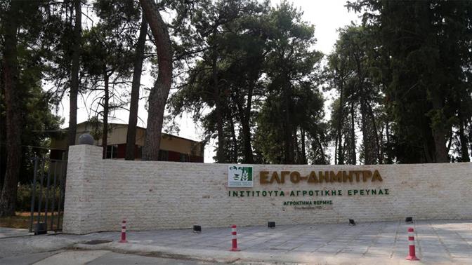 ΕΛΓΟ-Δήμητρα: Καταγγελία για αδικαιολόγητες καθυστερήσεις πληρωμών