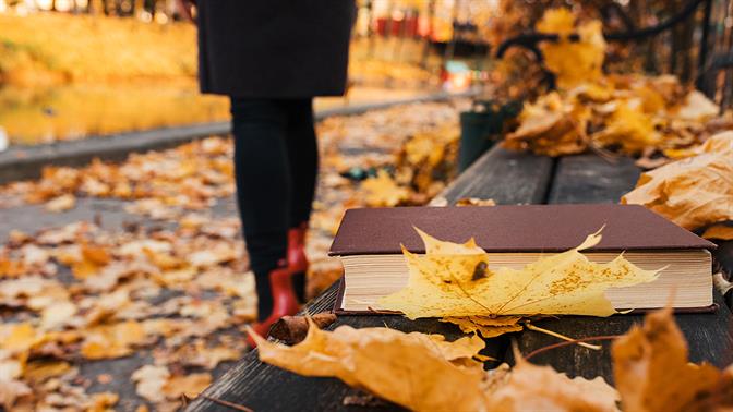 Οι Book Fairies αφήνουν βιβλία σε τυχαία σημεία για να τα βρει ο επόμενος αναγνώστης τους