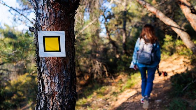 Οι ωραιότερες διαδρομές και εξορμήσεις στον Υμηττό