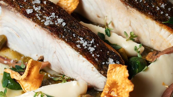 YDORON: Μια νέα εποχή στη θαλάσσια γαστρονομία