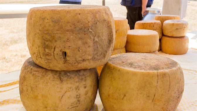 Γραβιέρα Νάξου: Το καλύτερο τυρί του κόσμου είναι ελληνικό και μπράβο μας!