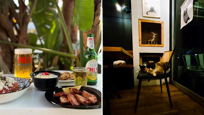 Γαλή στο Μεταξουργείο: Ένα αλανιάρικο γατοκουτούκι με οικονομικά μεζεδάκια