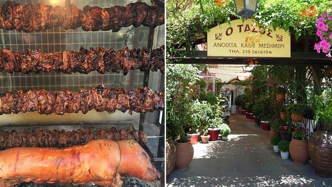 Τάσος στο Αιγάλεω: Από το 1967 στα κοψίδια λέμε ναι