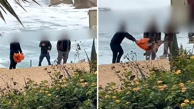 Πάφος: Αντιδράσεις για βίντεο με κακομεταχείριση νεκρής χελώνας – Ελεύθεροι οι τέσσερις που εμπλέκονται