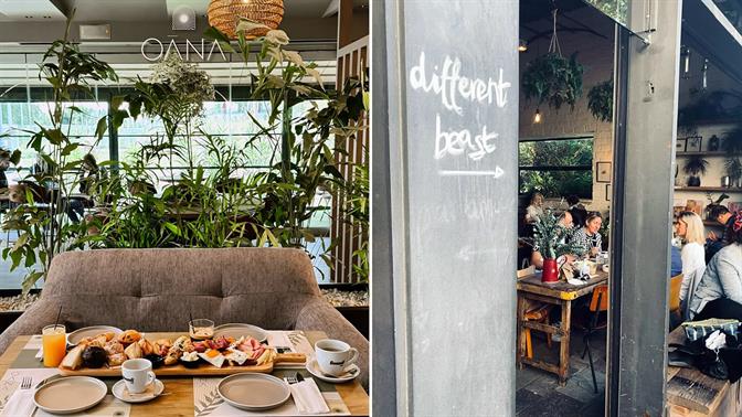 Ήσυχα brunch στην Αθήνα για να απολαύσεις το πρωινό σου χωρίς φασαρία