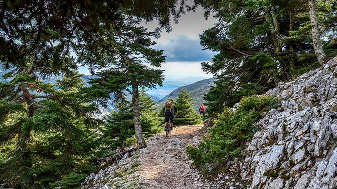 Εκδρομή στην Πάρνηθα: Φύση, πεζοπορία και στάσεις στο βουνό