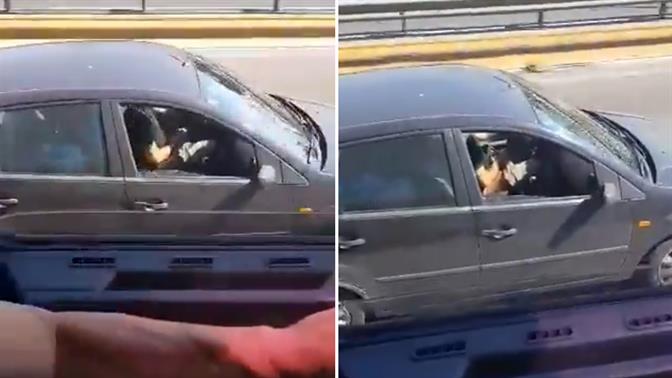 Βίντεο-σοκ στον Κηφισό: Οδηγός οδηγεί και… αυνανίζεται