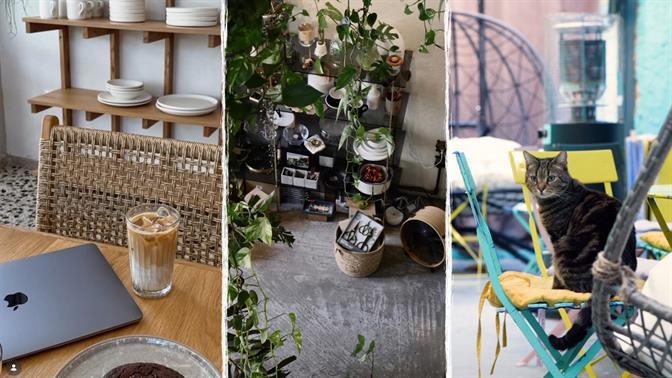 Τα πιο ιδιαίτερα café της Αθήνας