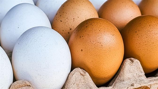 Εύκολοι τρόποι για να αυξήσεις την πρωτεΐνη στη διατροφή σου