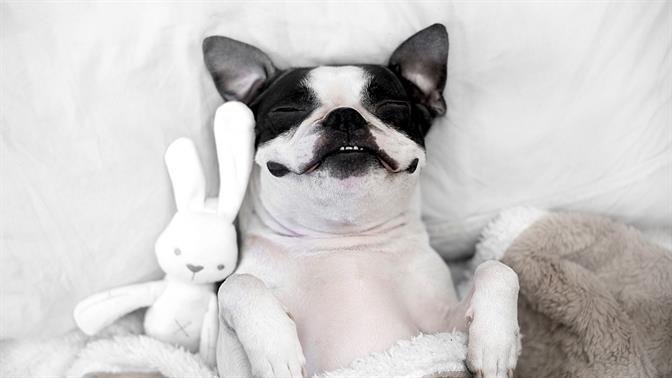 Παγκόσμια Ημέρα Ύπνου: Ο ύπνος δεν είναι χαλάρωση, είναι «εργαλείο απόδοσης»