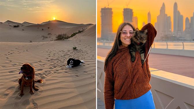 Με τα κατοικίδια τους επιστρέφουν οι 50 Έλληνες που είχαν εγκλωβιστεί στο Ντουμπάι