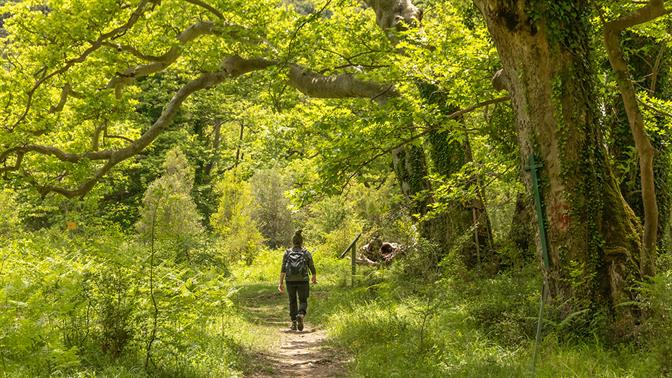 Λέω να πάρω τα βουνά: Οι καλύτερες κοντινές πεζοπορίες για την άνοιξη