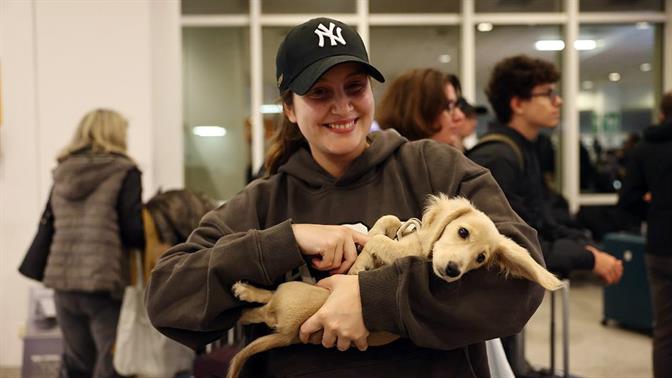 Οι φωτογραφίες των Ελλήνων που γύρισαν με τα ζωάκια τους από το Ντουμπάι είναι ό,τι καλύτερο θα δεις σήμερα