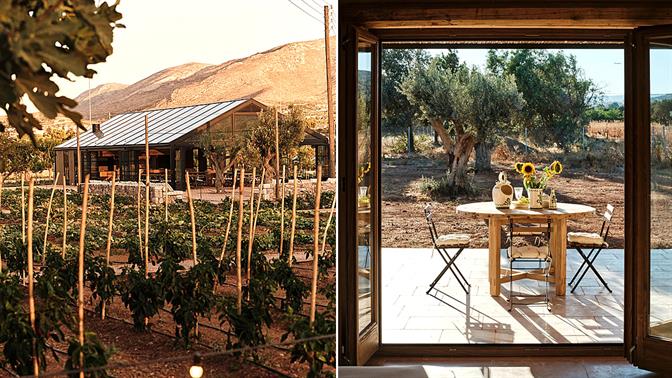 5 αγροκτήματα μια ανάσα από την Αθήνα