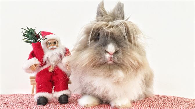 Γιατί το Πάσχα είναι (ξεκάθαρα) καλύτερο από τα Χριστούγεννα