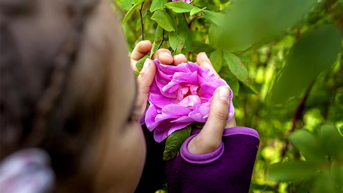 Sensory gardening: Η νέα ψυχοθεραπεία των πόλεων