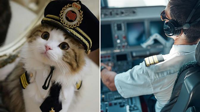 Νιάου: Πιλότοι έγιναν viral κάνοντας γατίσιους ήχους στον ασύρματο