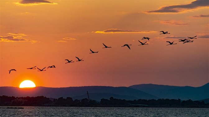 Κυνηγώντας το ωραιότερο ηλιοβασίλεμα της Ελλάδας στη Λιμνοθάλασσα του Μεσολογγίου