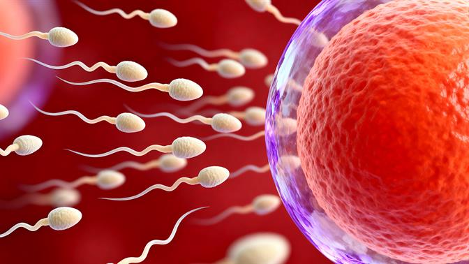 Το Παγκόσμιο Κύπελλο Ταχύτητας Σπέρματος δίνει βραβείο 100.000 δολάρια για αυτό έσω έτοιμοι