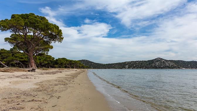 10 πράγματα που θα γεμίσουν μια μονοήμερη στον Μαραθώνα