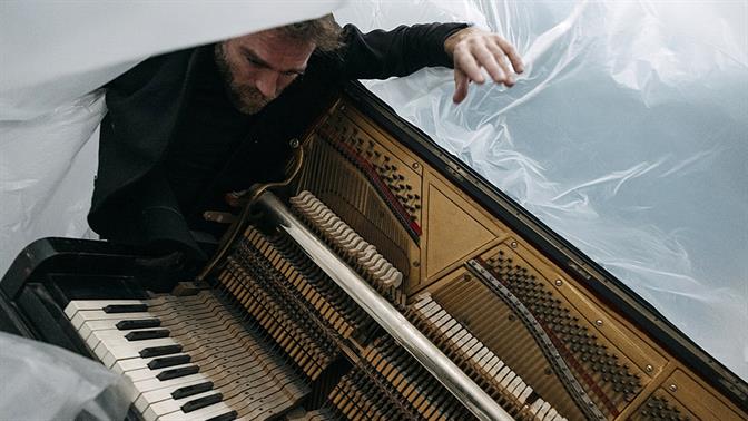 Το Rebirth του Μελαχρινού Βελέντζα στο Δρυόδασος της Φολόης