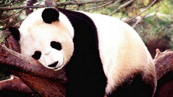 10 τρόποι να περάσεις τα απάλευτα καλοκαιρινά μεσημέρια