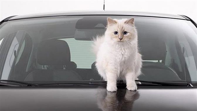 Ημερολόγιο Opel Corsa 2015 από τον Karl Lagerfeld 