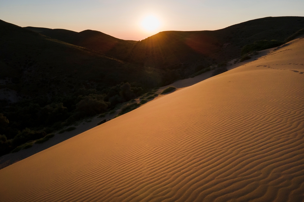 a sun shining through the sand