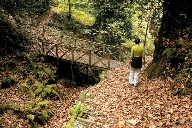 ΠΡΟΟΡΙΣΜΟΙ | Τα ωραιότερα μυστικά του Πηλίου