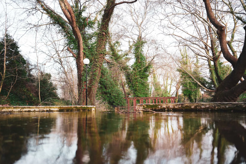 Η φωτογραφία είναι του Άκη Λούκα