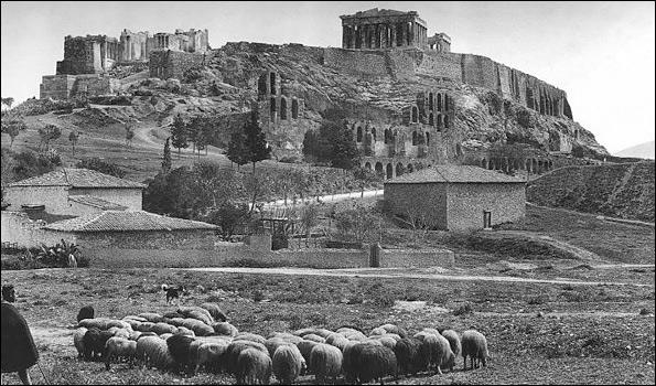 Βοσκοτόπια με φόντο την… Ακρόπολη. Εικόνα από το παρελθόν ή από το μέλλον; 