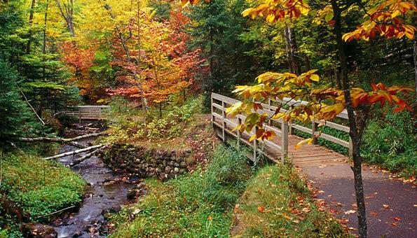 Το μονοπάτι της αγάπης. Πηγή: partetavoyna.blogspot